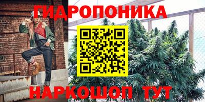 гидра Азнакаево
