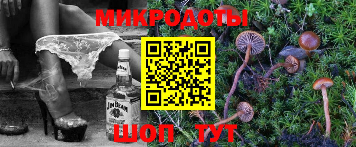 Галлюциногенные грибы Psilocybine cubensis Алексеевка