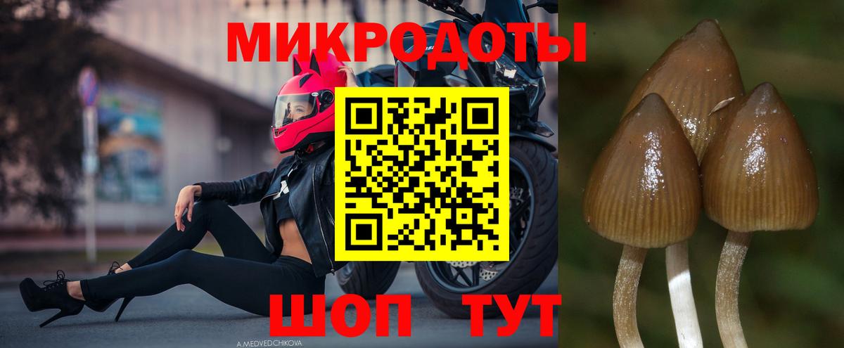 Псилоцибиновые грибы мицелий  Псилоцибиновые грибы Psilocybine cubensis  Алексеевка  даркнет сайт  Вход с VPN 